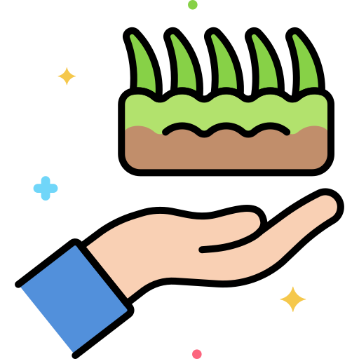 Création De Pelouse Rouleau/Semé