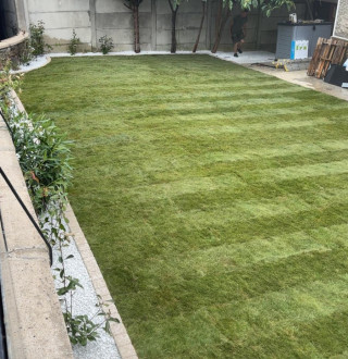 Création De Pelouse