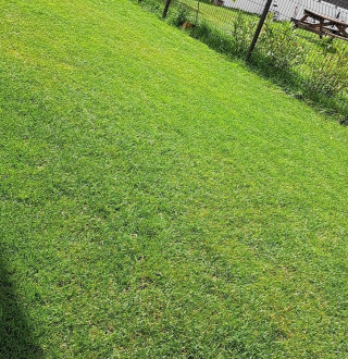 Fabrication de jardinière préparation de terrain